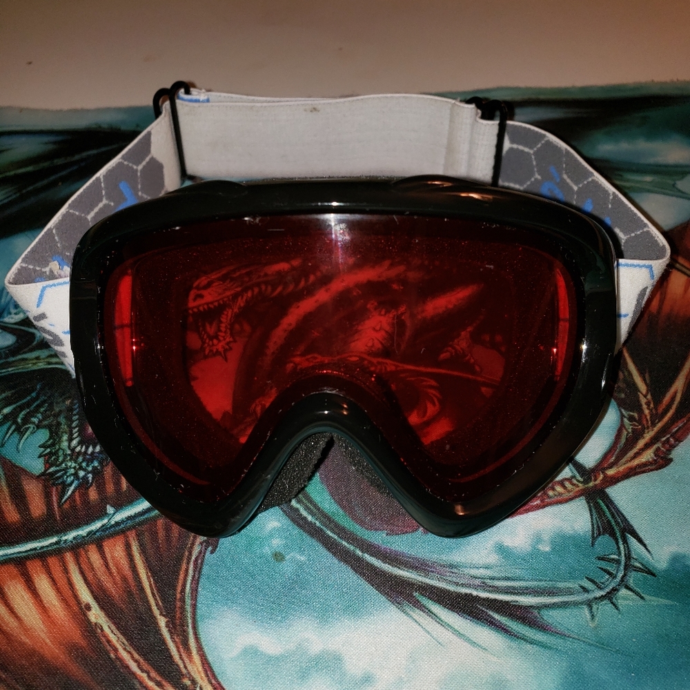 Bolle Winter Sport Goggles